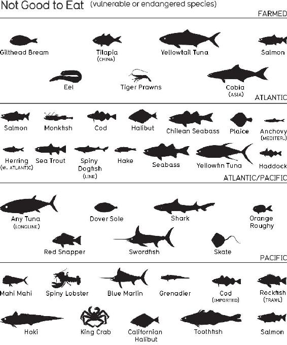 whichfish-kindle.ai