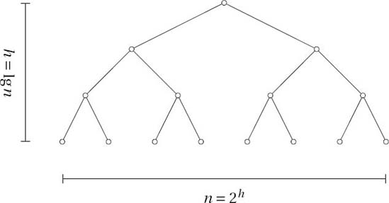 The height and width (number of leaves) of a perfectly balanced binary tree