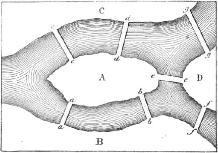 The bridges of Königsberg (today, Kaliningrad) in 1759. The illustration is taken from Récréations Mathématiques, vol 1 (Lucas, 1891, p. 22).