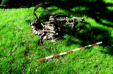 A367620_1_En_10_Fig14_HTML.gif