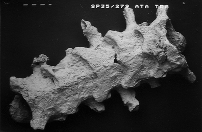 A367620_1_En_10_Fig6_HTML.gif