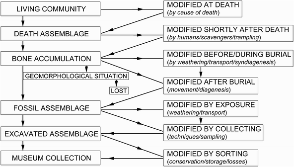 A367620_1_En_1_Fig1_HTML.gif