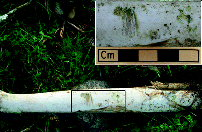 A367620_1_En_3_Fig114_HTML.gif
