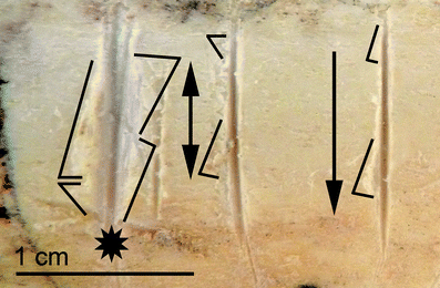 A367620_1_En_3_Fig12_HTML.gif