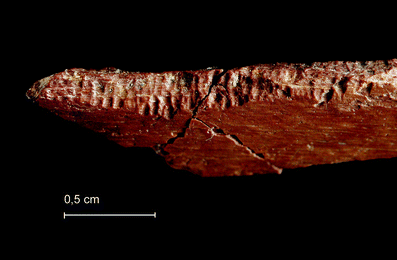 A367620_1_En_3_Fig203_HTML.gif