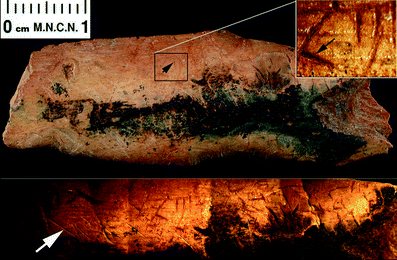 A367620_1_En_3_Fig246_HTML.gif