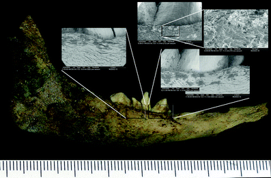A367620_1_En_3_Fig265_HTML.gif