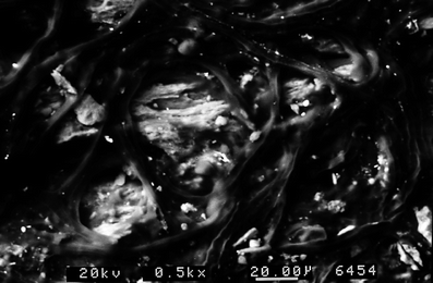 A367620_1_En_3_Fig274_HTML.gif