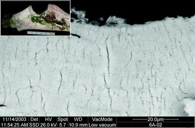 A367620_1_En_3_Fig281_HTML.gif
