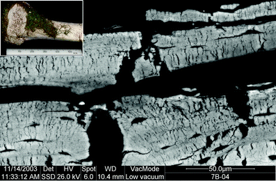 A367620_1_En_3_Fig282_HTML.gif
