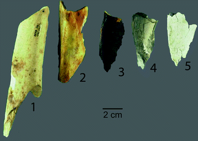 A367620_1_En_5_Fig2_HTML.gif
