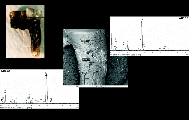 A367620_1_En_5_Fig3_HTML.gif