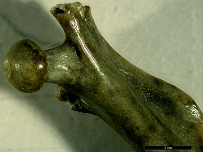 A367620_1_En_6_Fig28_HTML.gif