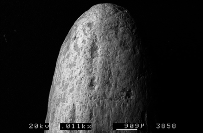 A367620_1_En_6_Fig52_HTML.gif