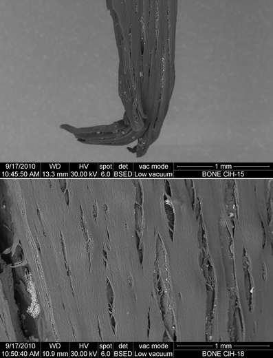 A367620_1_En_7_Fig128_HTML.gif