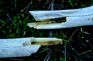 A367620_1_En_7_Fig23_HTML.gif