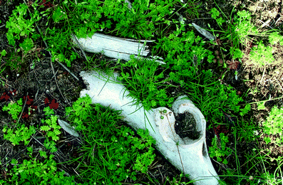 A367620_1_En_7_Fig24_HTML.gif