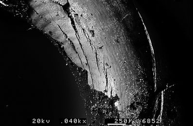A367620_1_En_7_Fig45_HTML.gif