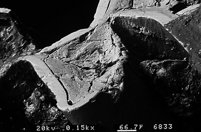 A367620_1_En_7_Fig46_HTML.gif