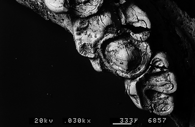 A367620_1_En_7_Fig48_HTML.gif