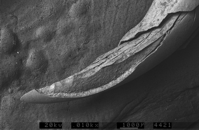 A367620_1_En_7_Fig50_HTML.gif