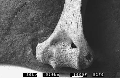 A367620_1_En_7_Fig52_HTML.gif
