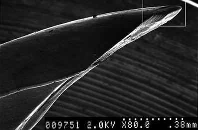 A367620_1_En_8_Fig39_HTML.jpg