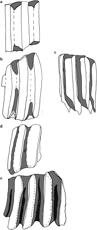 A367620_1_En_8_Fig3_HTML.gif