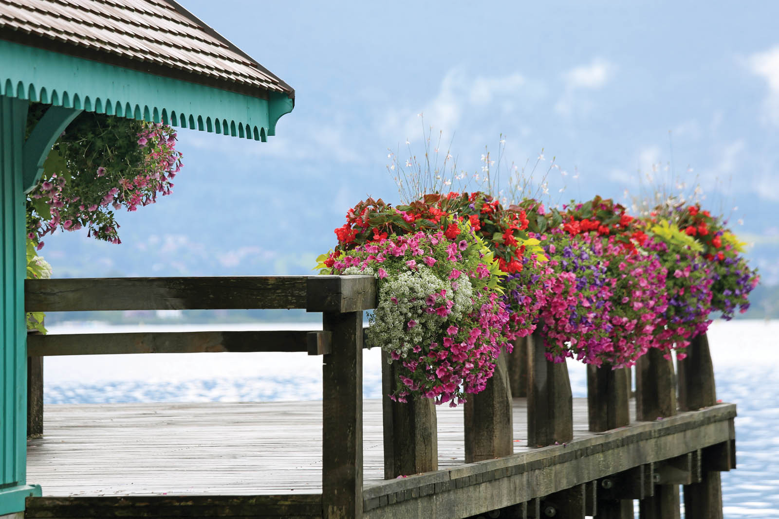 Photo of a dock lined with flowers.