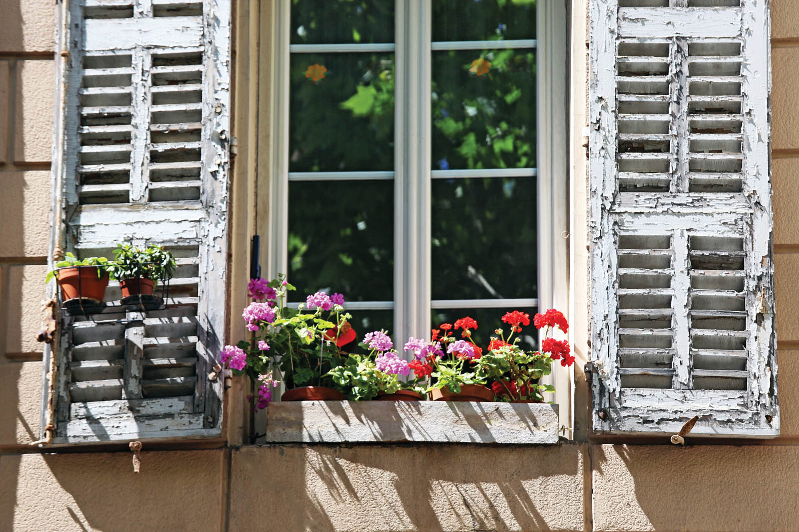 Photo of flowers in a window box.