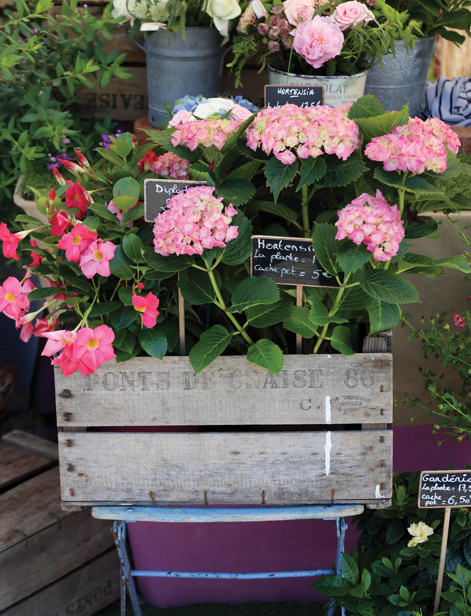 Photo of flowers at a market.