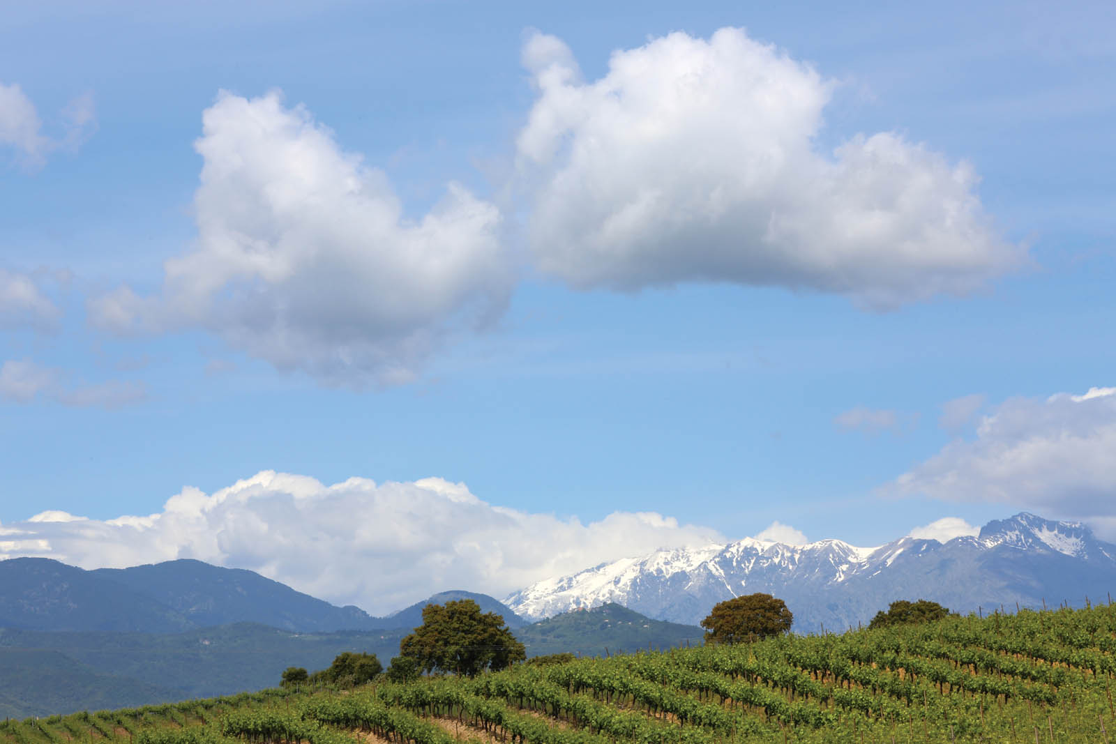 Photo of the French countryside.