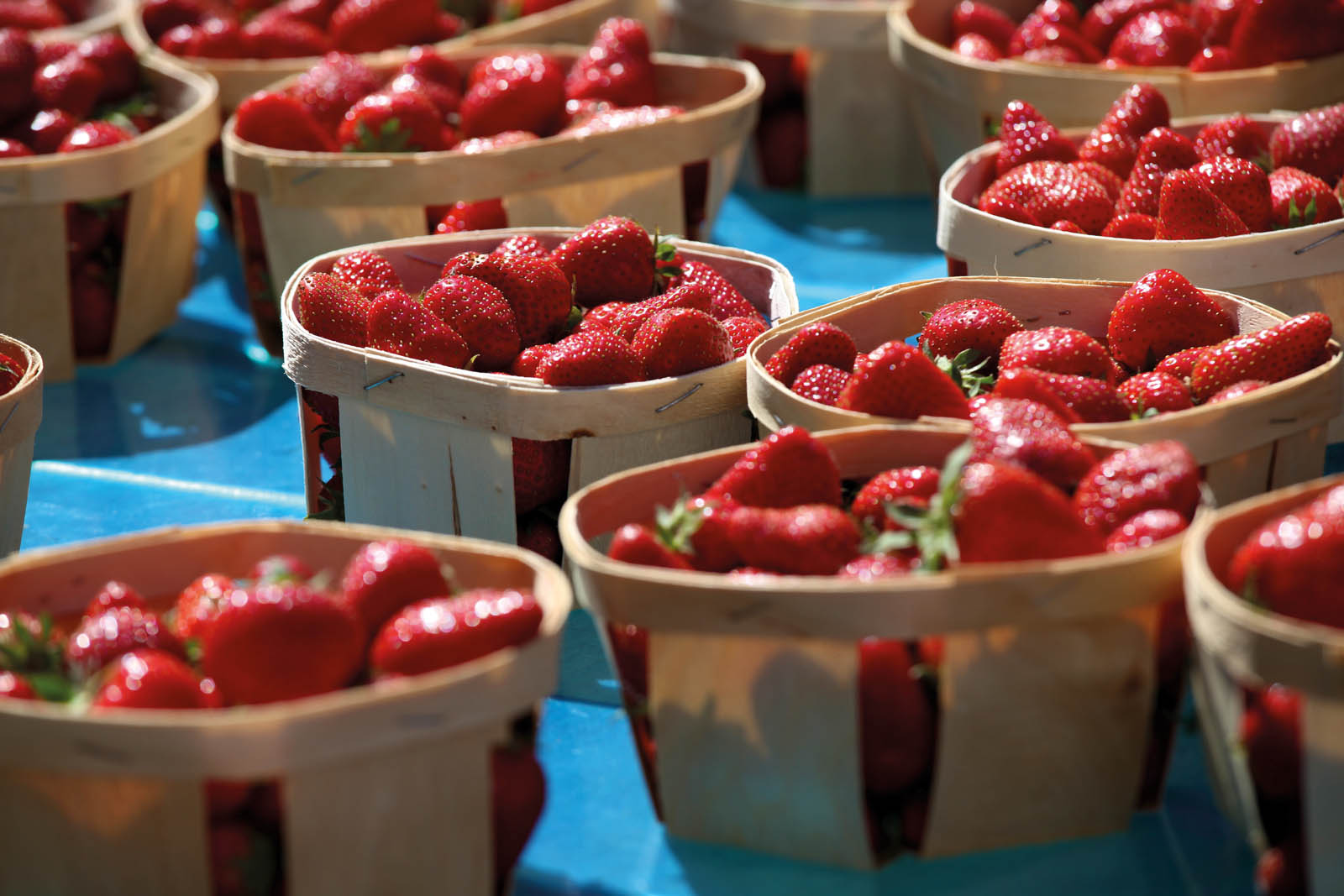 Photo of baskets of fresh strawberries.