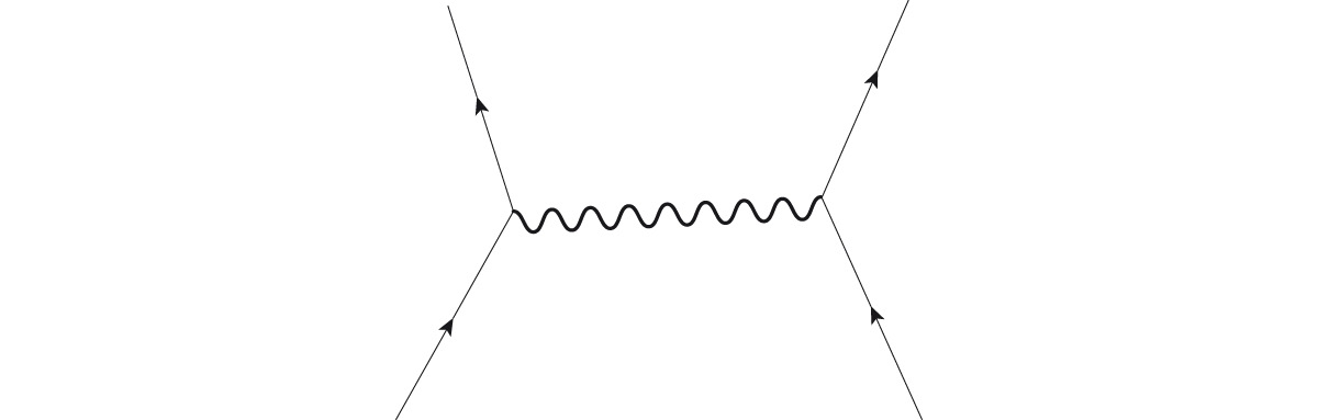 Diagramma di Feynman.