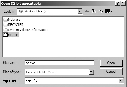 Opening an executable with command-line options