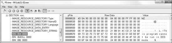 PEview showing three different resource sections