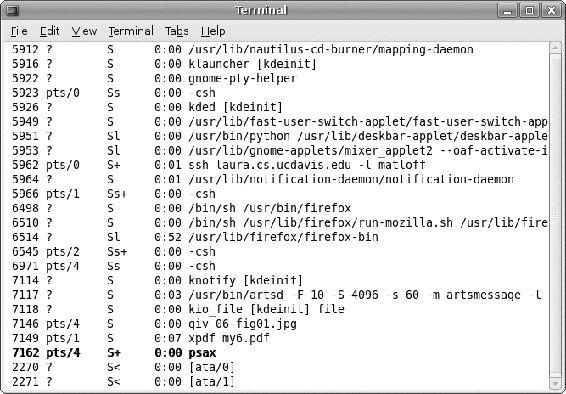 The program running in a terminal window