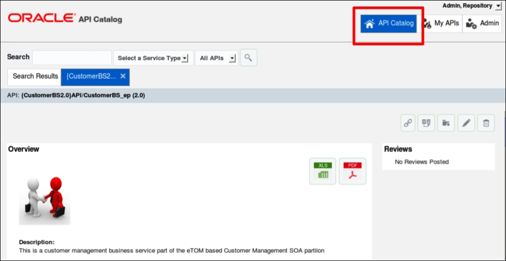 Viewing and editing API metadata