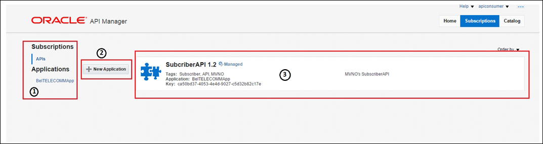 Working with Oracle API Manager as a consumer