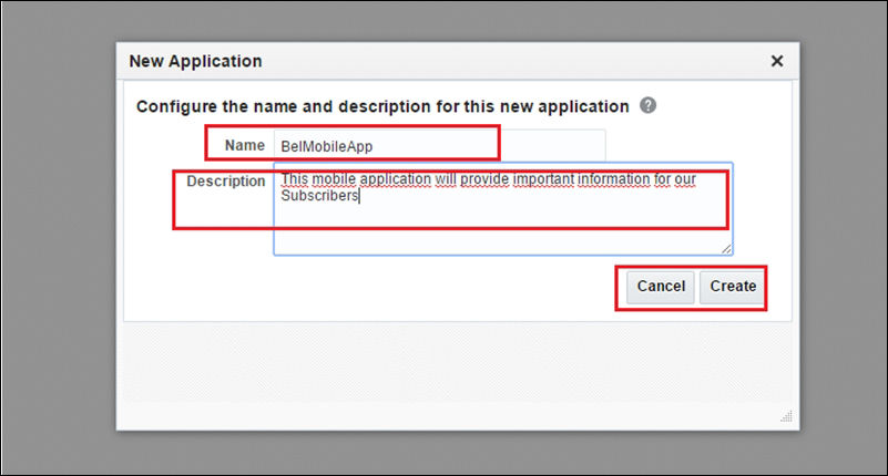 Working with Oracle API Manager as a consumer