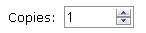 A spin box is a text box that includes increment buttons on the right side.