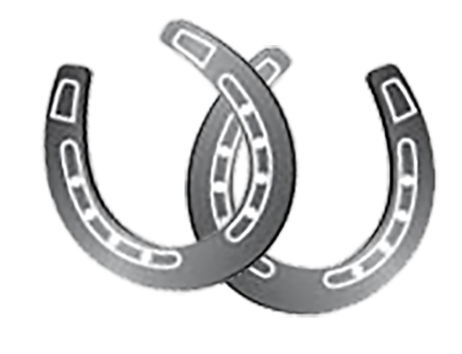 horseshoes