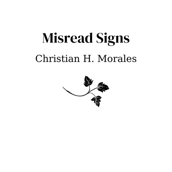 Misread Signs by Christian H. Morales