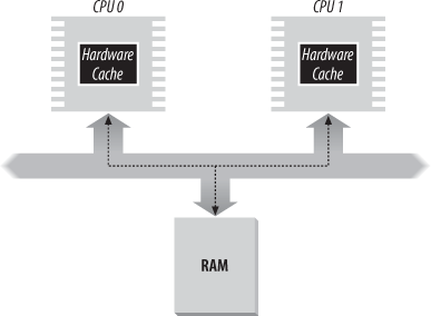 The caches in a dual processor