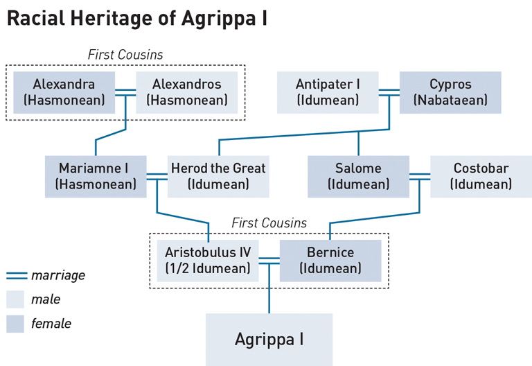 Diagram of the Racial Heritage of Agrippa I. Agrippa I's parents were Aristobulus IV (male, 1/2 Idumean) and Bernice (female, Idumean). These two were first cousins. Aristobulus IV's parents were Mariamne I (female, Hasmonean) and Herod the Great (Idumean). Mariamne I's parents were Alexandra (female, Hasmonean) and Alexandros (male, Hasmonean). These two were first cousins. Herod the Great's parents were Antipater I (male, Idumean) and Cypros (female, Nabataean). Bernice's parents were Salome (female, Idumean) and Costobar (male, Idumean). Salome was Herod the Great's sister.