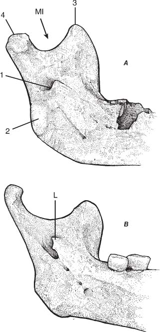 c07f018_fmt