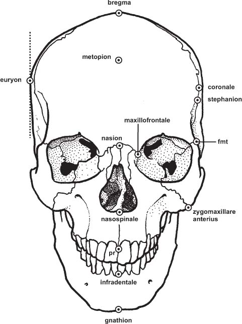 bappf002_fmt