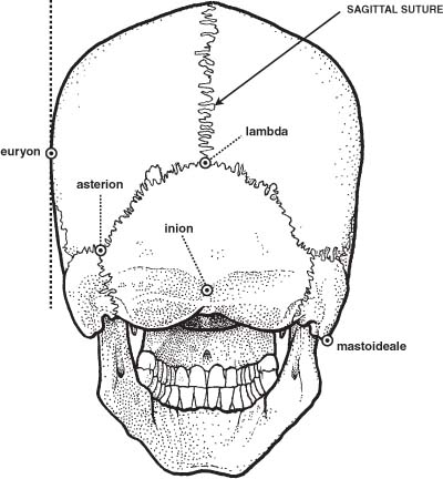 bappf003_fmt