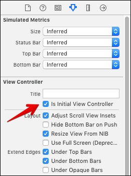 The initial View Controller