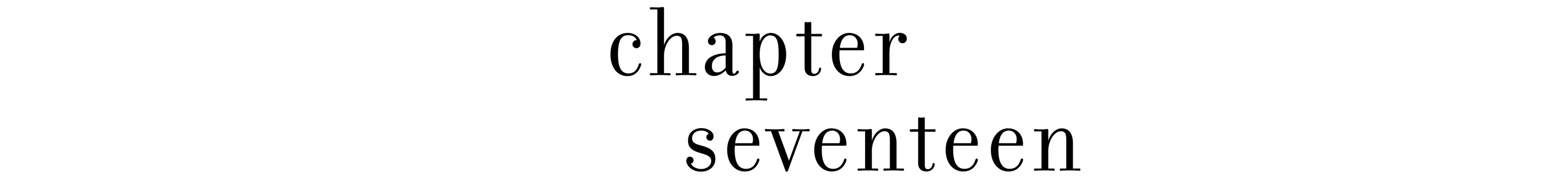 chapter seventeen